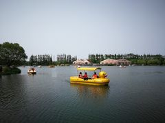 -上海长兴岛郊野公园