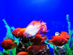 -乌鲁木齐海洋馆