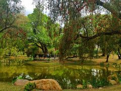 -人民公园(罗湖区)