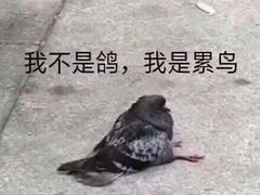 -一二三文鱼(芜湖路店)