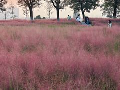 -汉长安城未央宫国家考古遗址公园