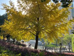 -苏州河梦清园环保主题公园