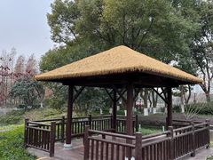 -圩墩遗址公园