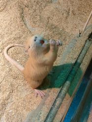 -酷嗒动物文化乐园(cutezoo西溪乐天城店)