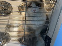 -佳雯宠物医院(金华南路分院)