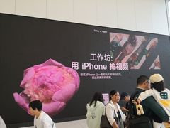 -Apple零售店(青岛万象城店)