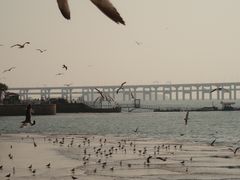 -星海广场