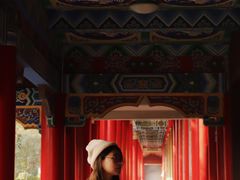 -开福禅寺