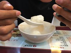 -海丝金凤(金鱼店)