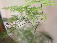 -花迹(富春江东街店)