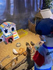 -酷嗒动物文化乐园(cutezoo西溪乐天城店)