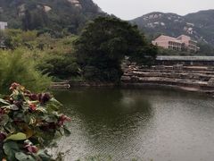 -厦门国家会计学院