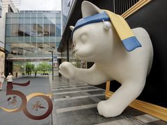 -深圳湾万象城(南山店)