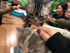-藦茜花园宠物主题亲子互动体验馆(国顺东路店)