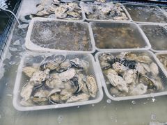 -大锅强·蒸海鲜青岛菜(金沙滩店)