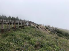 -白草畔自然风景区