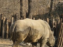-北京野生动物园
