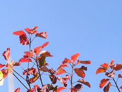 -北京西山国家森林公园