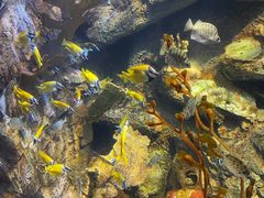 -太平洋海底世界