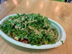 -油梨树AVOCADO TREE(望京店)