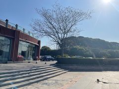 -水上明月·湖景餐厅