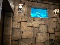 -翱翔飞越地平线