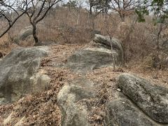 -白水寺森林公园