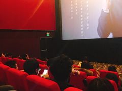 -武汉华夏国际影城(鲁广店)