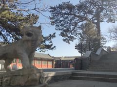-妙峰山风景名胜区