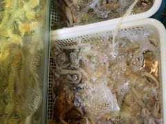 -福建美食城(老君堂店)