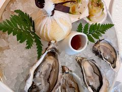 法国空运生蚝-福楼法餐厅FLO