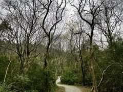-青龙山国家森林公园