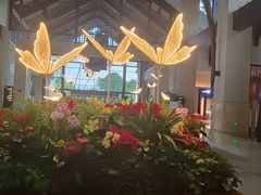 -昆明洲际酒店