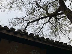 -乾园.魏庐湖景餐厅(花港店)