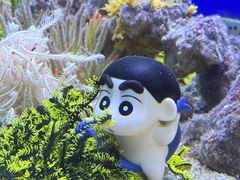 -蓬莱欧乐堡海洋极地世界