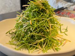 巧伴有机萝卜苗-紫泥369粗粮季(四牌楼店)