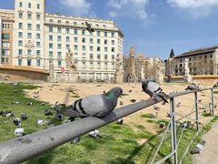 -加泰罗尼亚广场