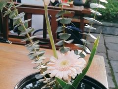 -鲤院·新中式美学·庭院餐厅(夫子庙店)