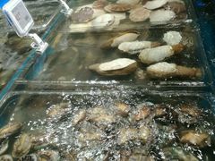 -盒马鲜生(曜一城店)