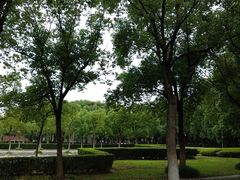 -华东政法大学(松江校区)