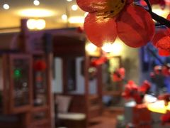 -碧露轩·大益茶体验馆(镇江路店)