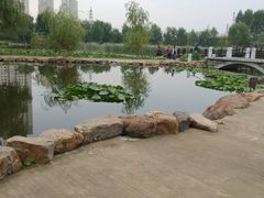 android_upload_pic-前关湿地公园