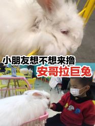 点击看大图 -萌兔星空蹦床撸兔馆