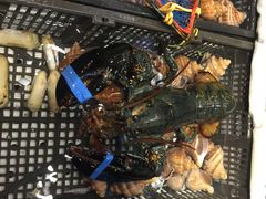 -苏大嘴海鲜牧场(奥林匹克店)