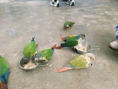 -昆明动物园