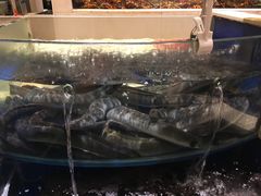 -海景壹号大酒店(滨湖店)