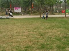 -天适樱花悠乐园