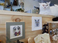 -平行世界·猫咖(首经贸店)