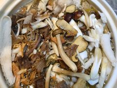 -野菌园·野生菌火锅首创第一家(关兴路总店)