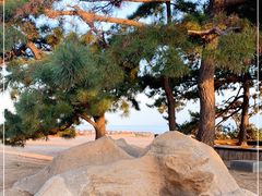 -老虎石海上公园